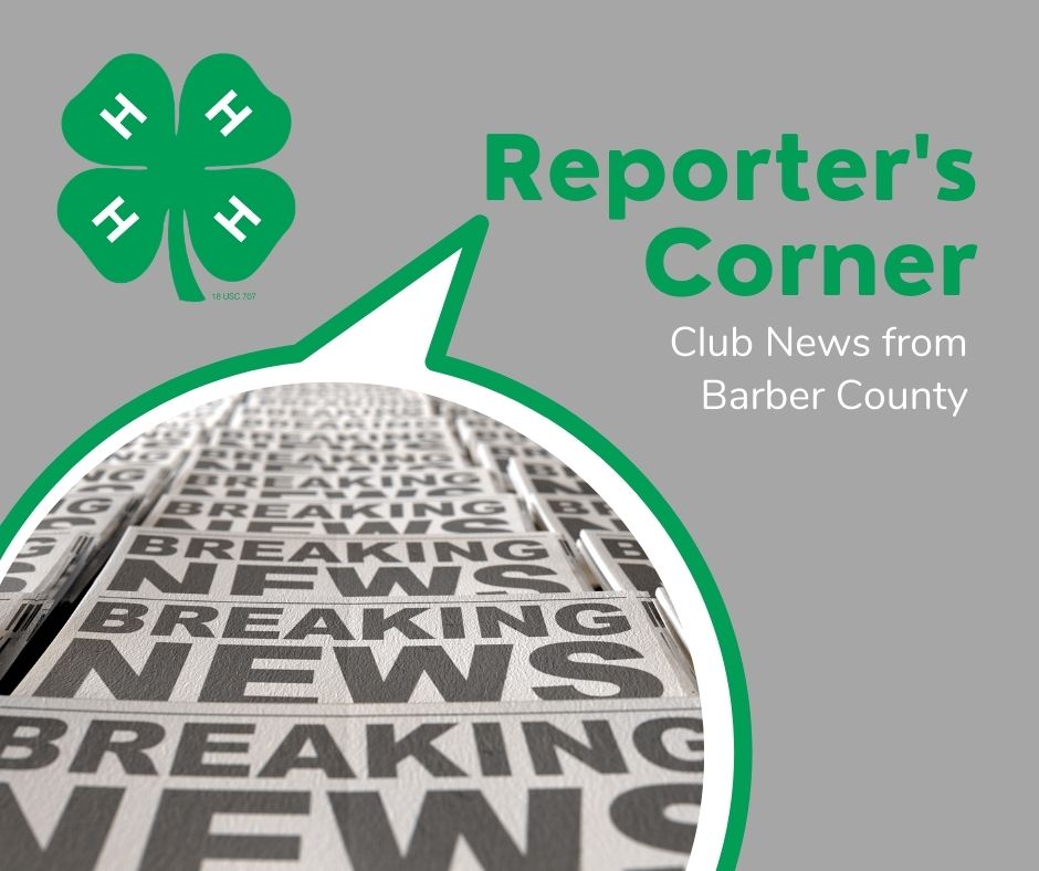 Reporter's Corner Logo