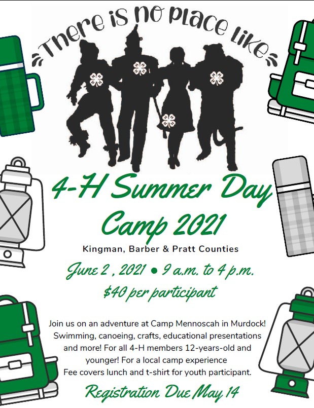 Day Camp Flyer 2