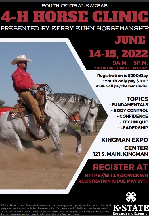 Horse Clinic Flyer