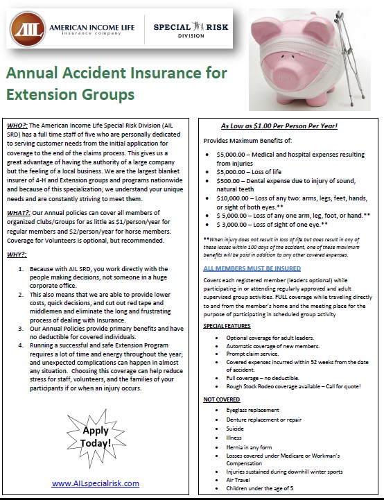 Insurance Image